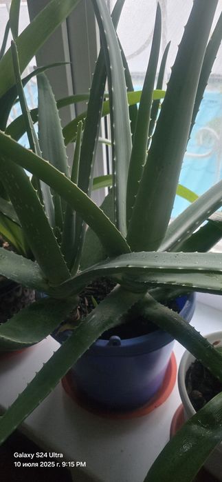 Продам разную обувь по 500тг