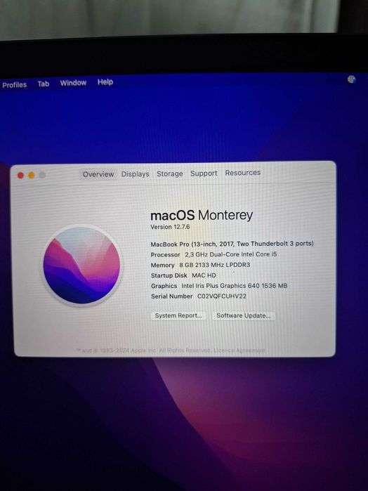 Mouse apple 2 cu incarcator
