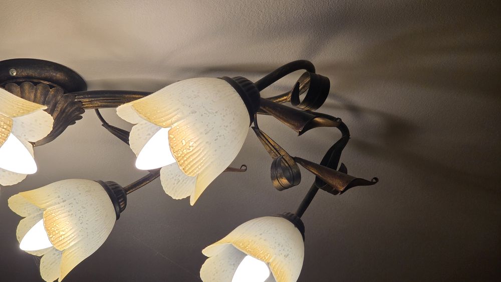 Осветителни тела с влючени LED крушки Philips