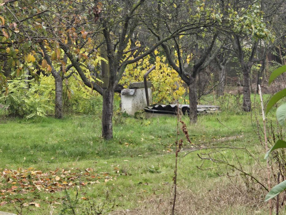 Proprietate deosebită cu 4000 mp teren, două case și hală