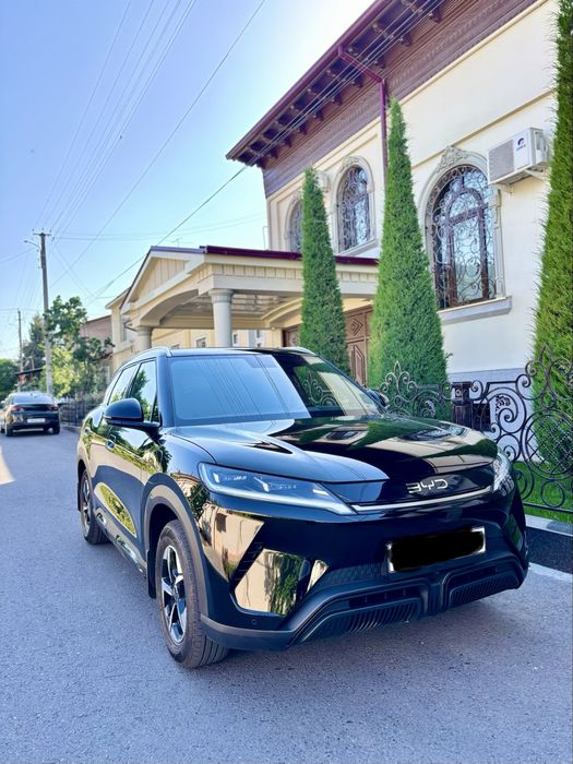 Byd Yuan Up 2025