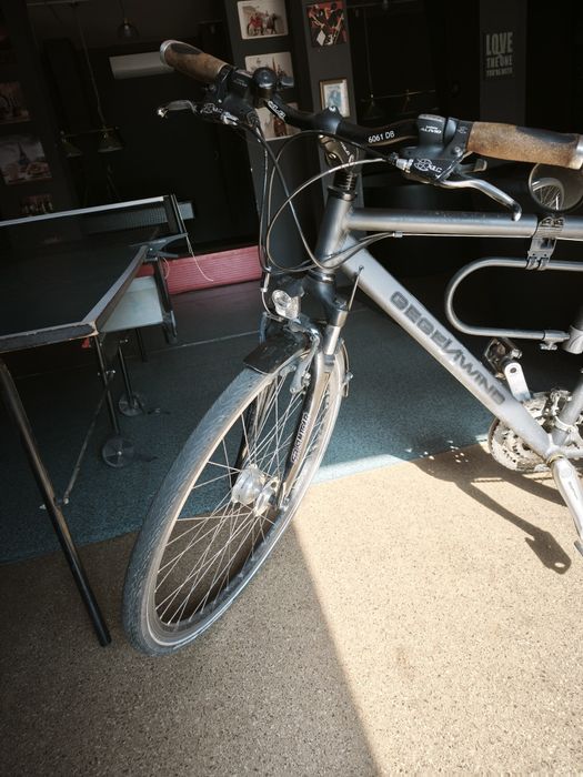 Bicicleta Diamant custom