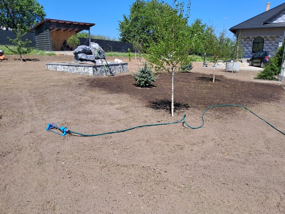 Ingrijire spații verzi, toaletare arbori, tundere gazon, Piatra Neamț