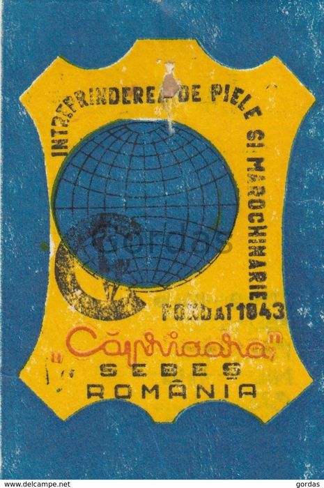 Minge de oina (noua)