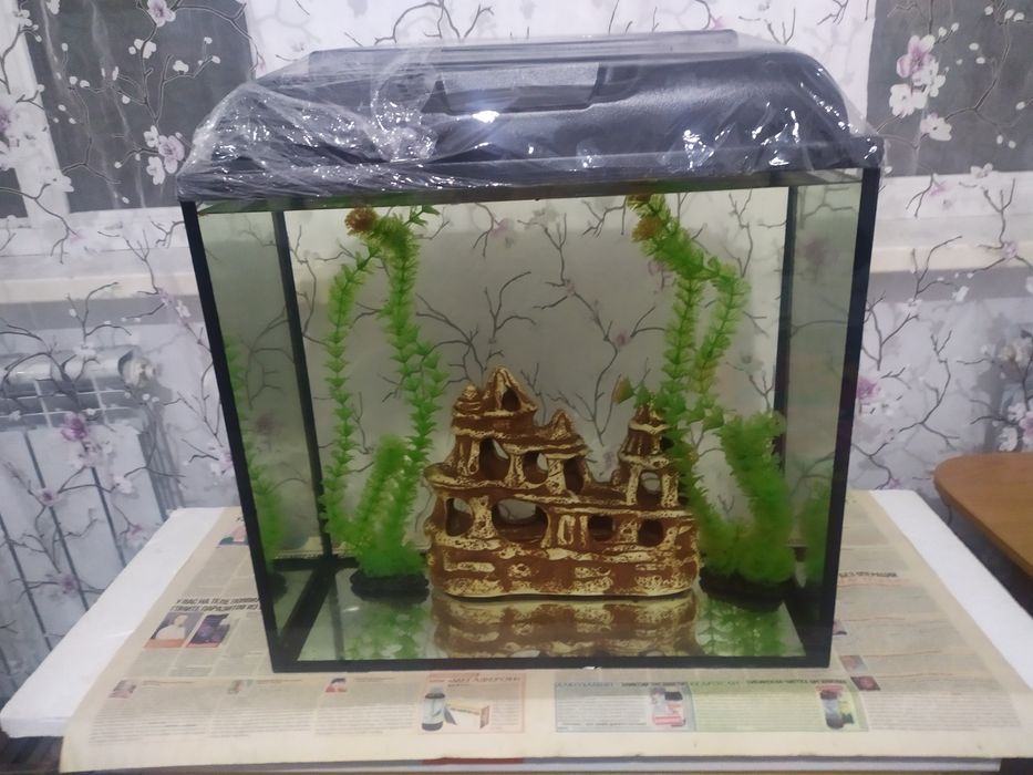 Новый аквариум 60л + бонусы и рыбки.