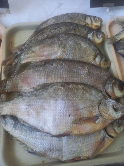 Рыба солёная,вяленая,копченая