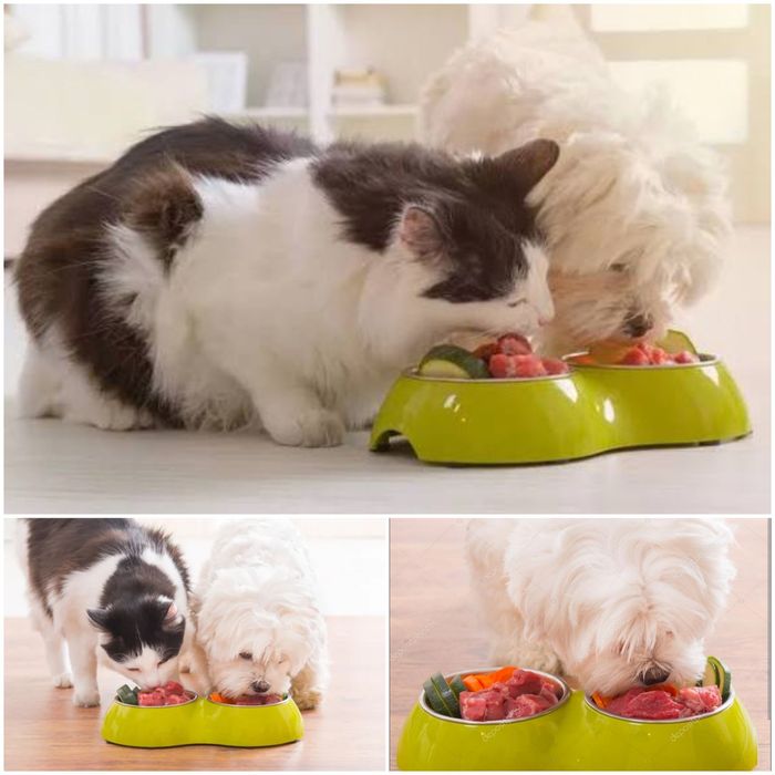 Натуральная еда для ваших животных!