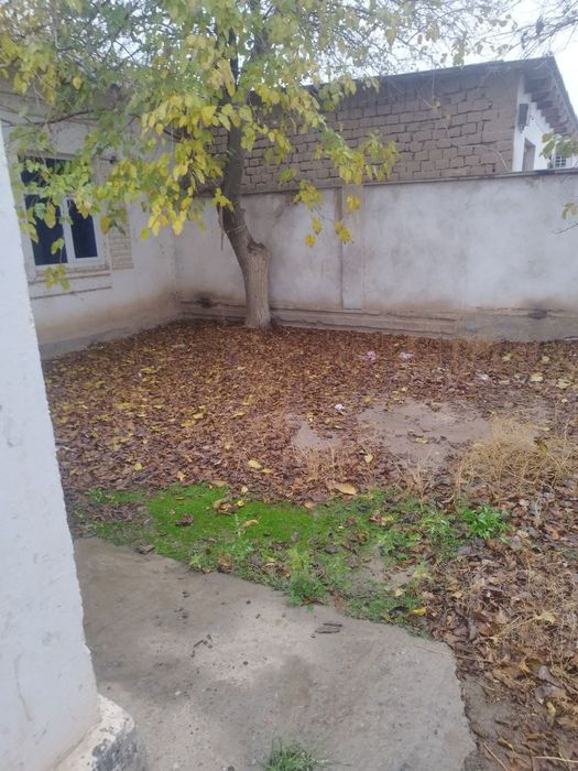 Учкизил катта кумдв 2 та уй