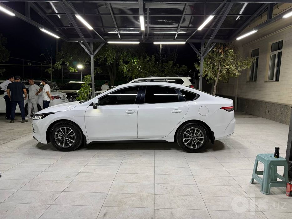 BYD chazor 2024 2 poz