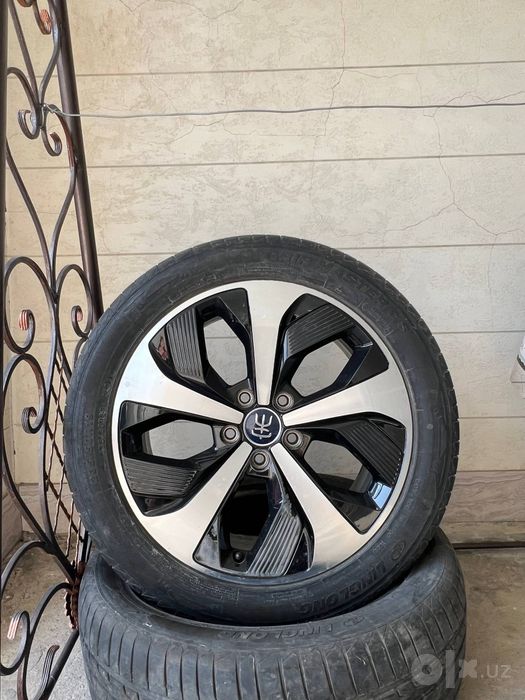 Byd radnoy disks r19
