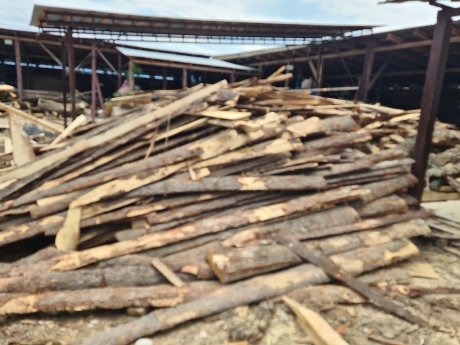 Гарбыль сосна ель