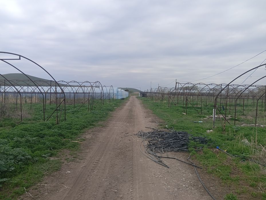 Тепличное хозяйство