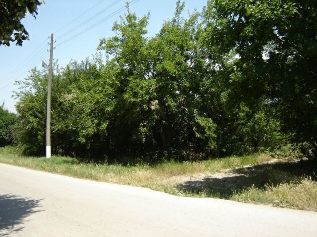 Продава се Парцел в с. Сноп, Област Добрич - 3125 кв.м за 2 €/кв.м - Снимка #1