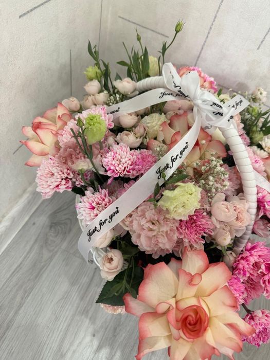 Светы свежие срочно