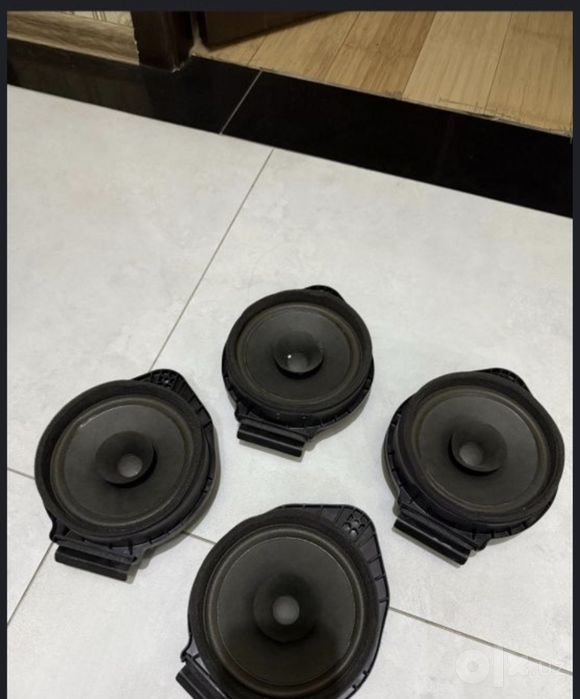 Cobalt kalonkasi yengi