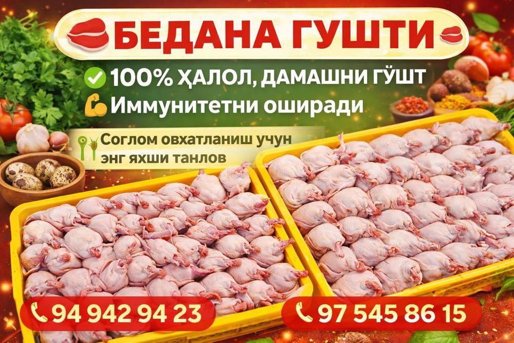 Бедана гошт сотилади