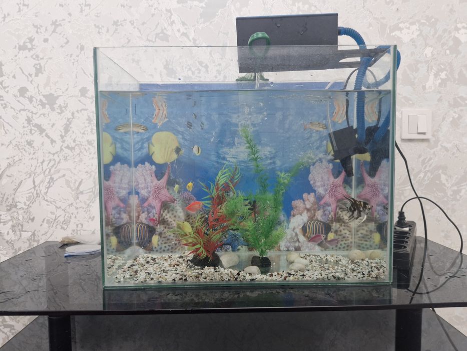 Продам аквариум с рыбками