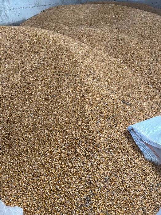 Porumb,Grâu,huroaie,mălai furajer,Tarâțe,diverse.