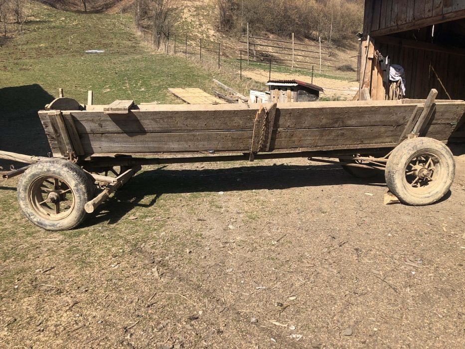 Vând ștraf doi cai