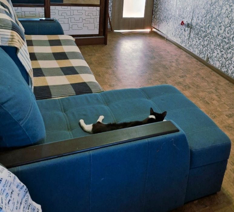 Продам. Недорого. Торг