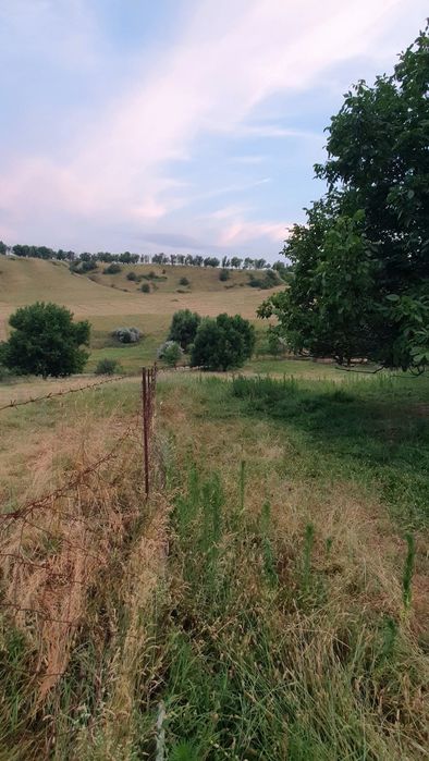 1-гектар жер сатылады Ленгерде