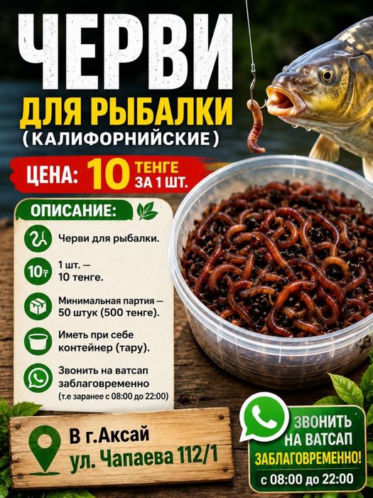 Черви для рыбалки