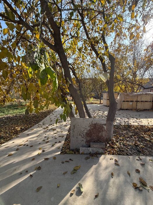 Продается земельный участок, Новый Ташкент в доль дороги первая линия