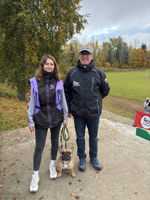 Вязка Французкого Бульдога