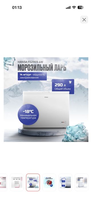 Морозильник Hansa 290 L