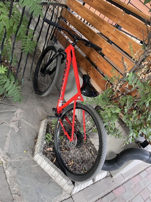 Cannondale Trail 5 (M)