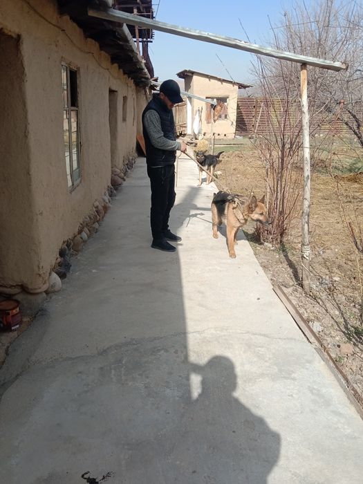 Гарантией нет ничего