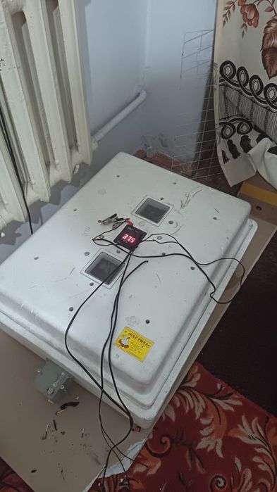 Продам инкубатор хорошо выводит