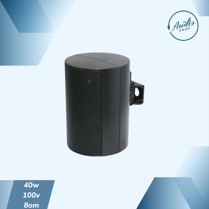 Пассивная настенная колонка для фоновой музыки 40wat