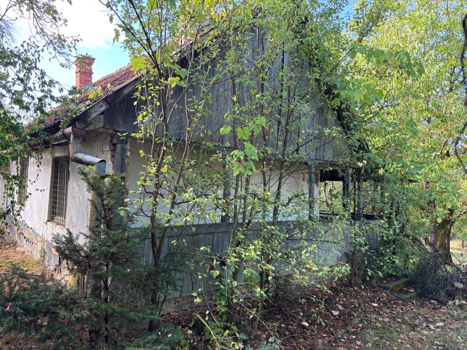 Teren intravilan de 3.500 mp in Viile Satu Mare