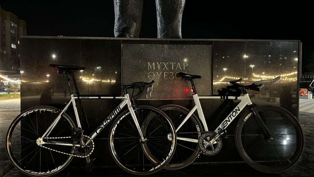 Фикс tsunami snm100