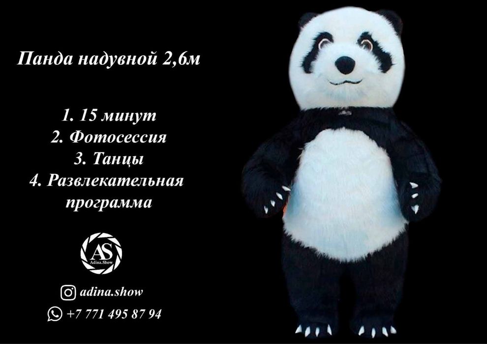 Тедди мишки на прокат Адина шоу