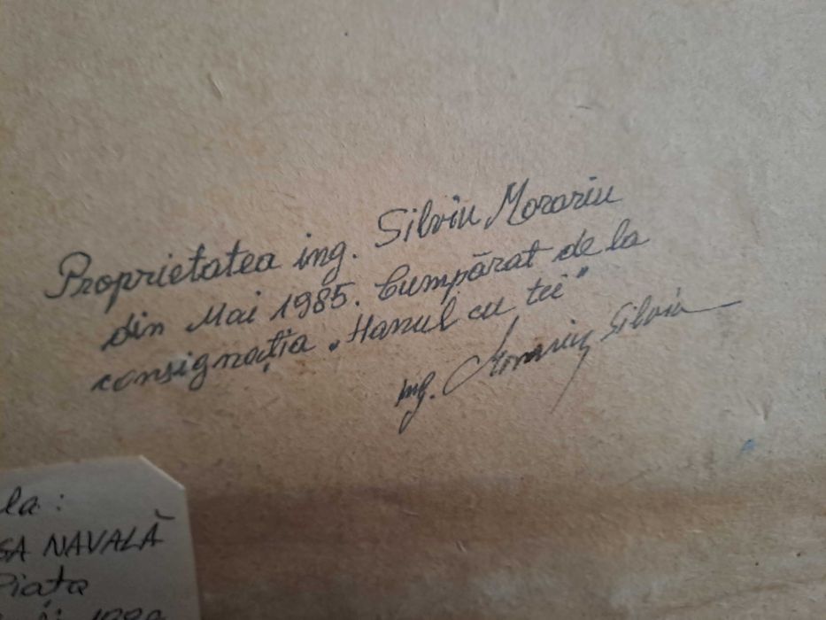 tablou pictura acuarela 61/78 cm Dimitrie Stiubei datat 1930