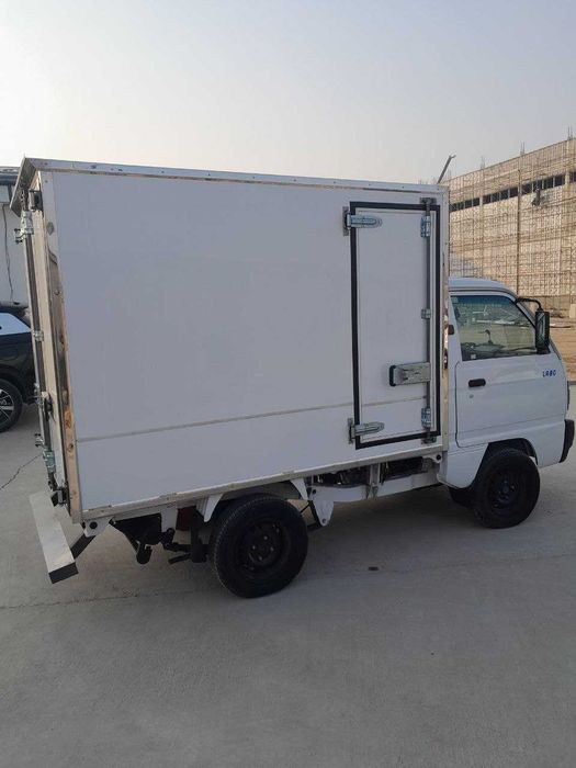 2024 Damas labo dewoo