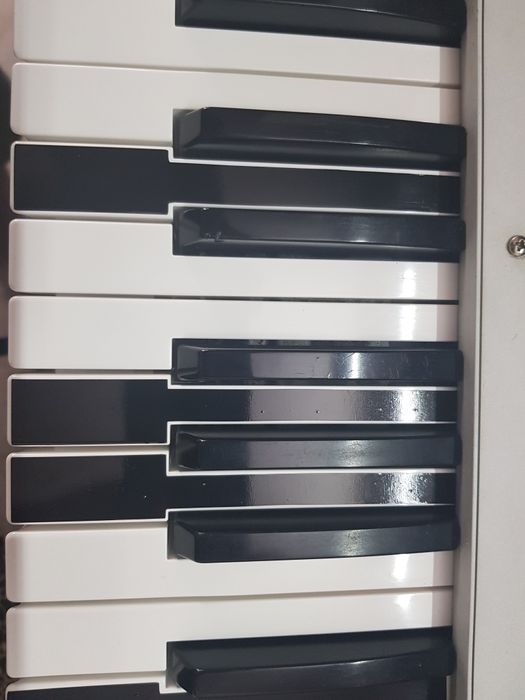 Colantare personalizare clape, orga korg pa2 pa3x pa4x roland yamaha x