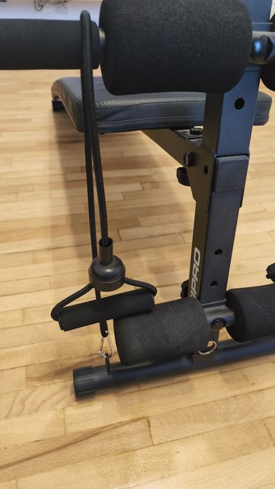 Abdomen masă musculară