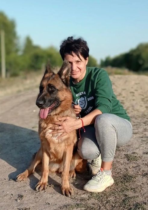 Продается щенок немецкой овчарки ,