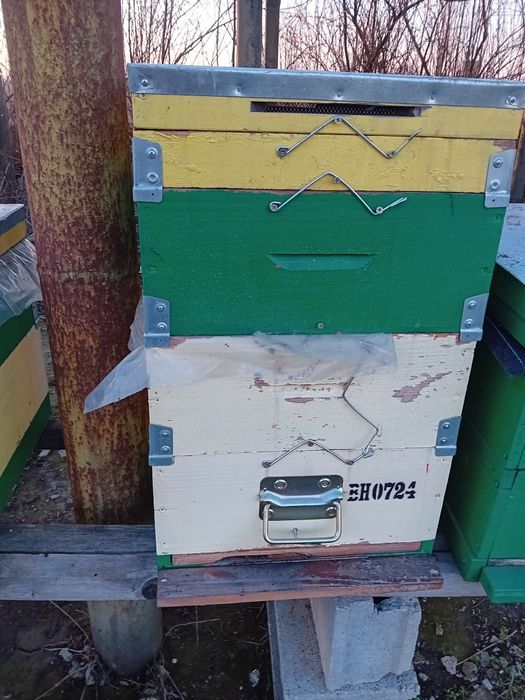 Familii de albine cu tot cu stupi