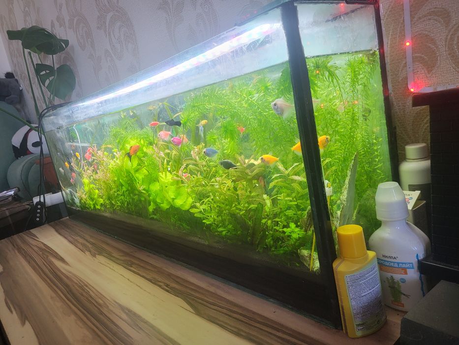 Аквариум 70 литров