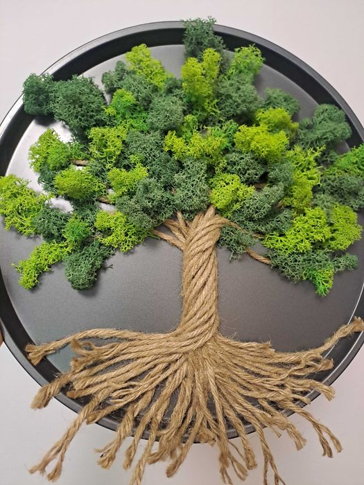 Tablouri cu licheni naturali stabilizati