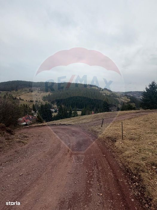 Teren de vanzare în inima Apusenilor – 6.500 mp Arieșeni
