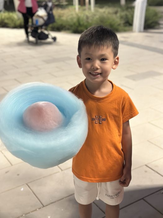 Плестейшен 5 буу