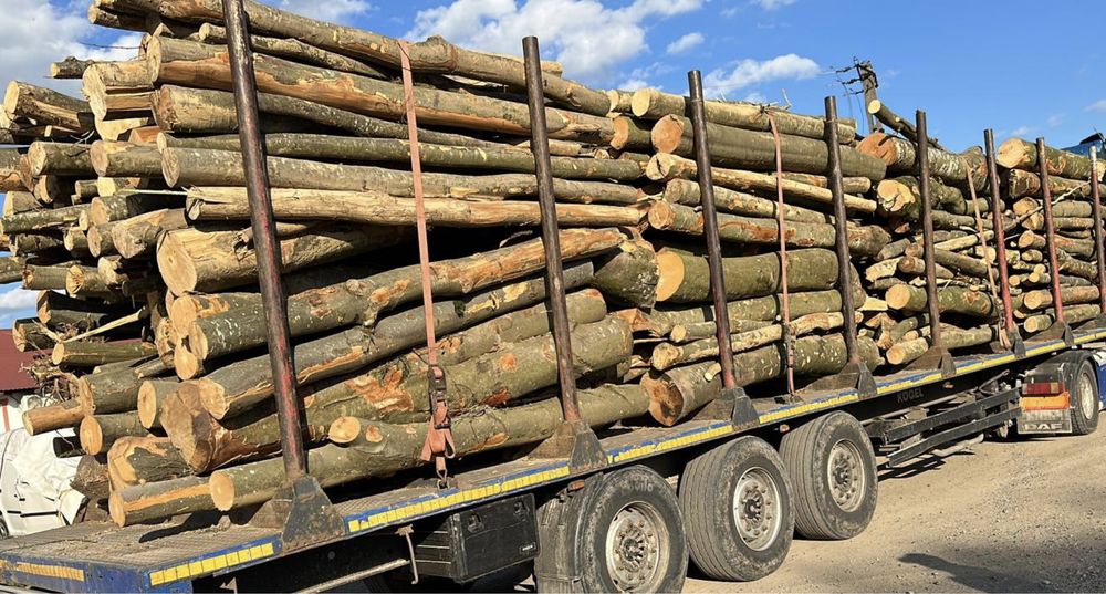 Vând lemn de foc fag