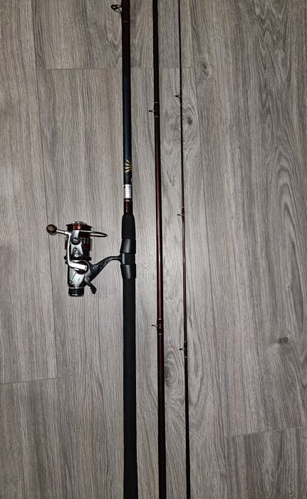 Lanstea Match Daiwa Sensor Match