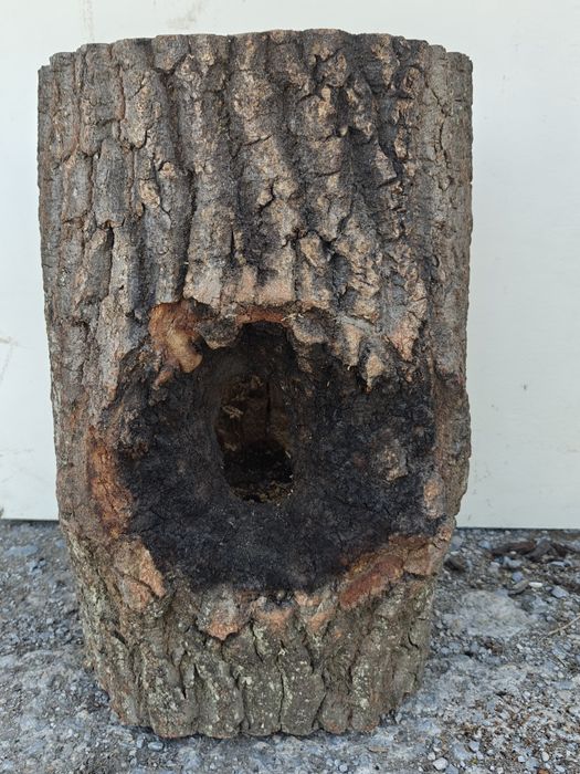 Хралупа различни видове.