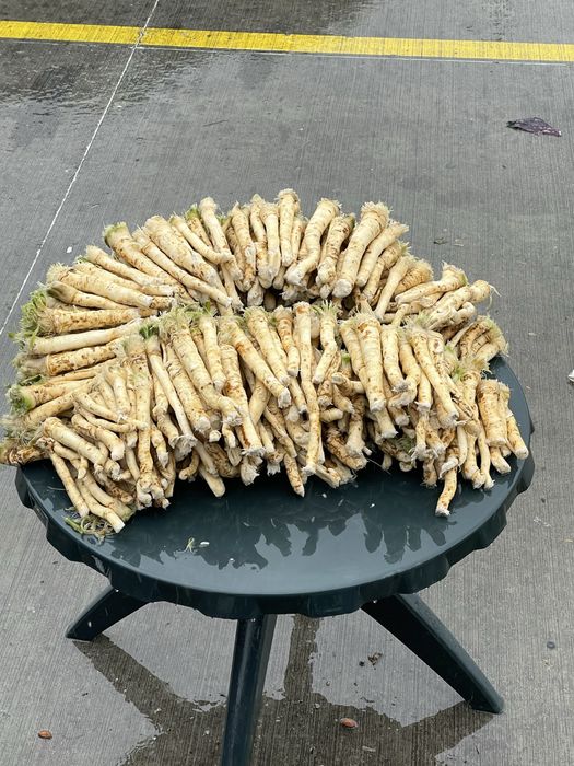 Hrea proaspat SPALAT & NE’SPALAT